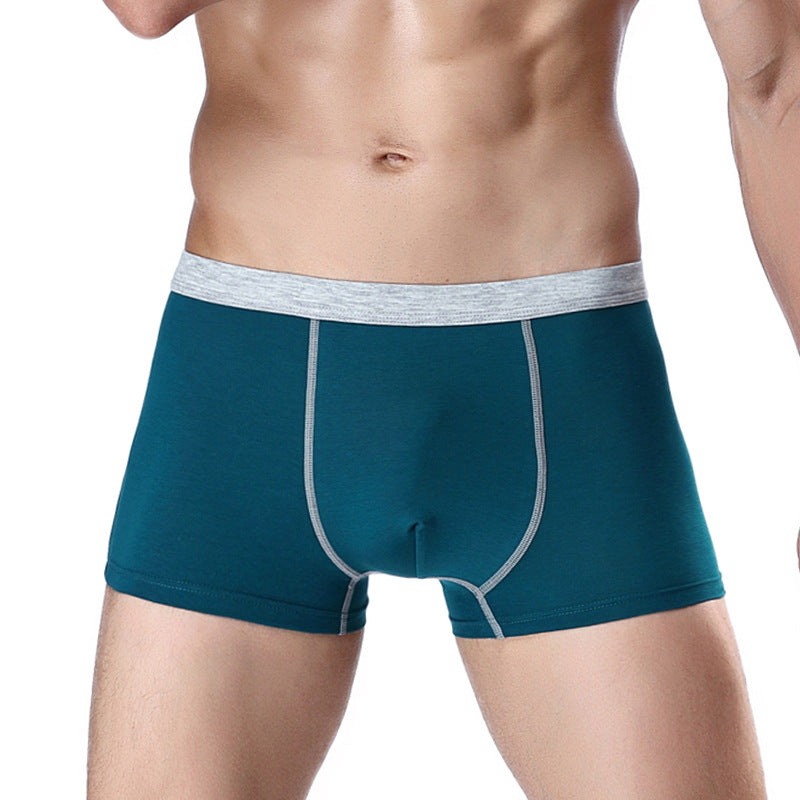 Men's underwear men's boxer briefs