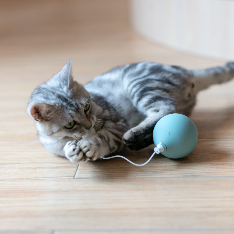 Funny cat electric cat toy