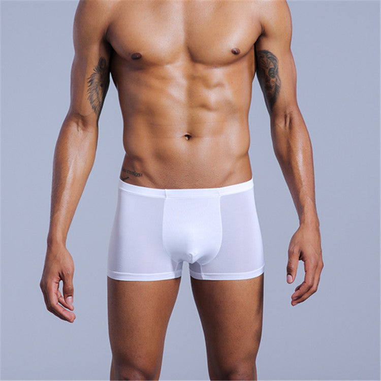 Men's Underwear Nylon Ice Silk Comfort Boxers